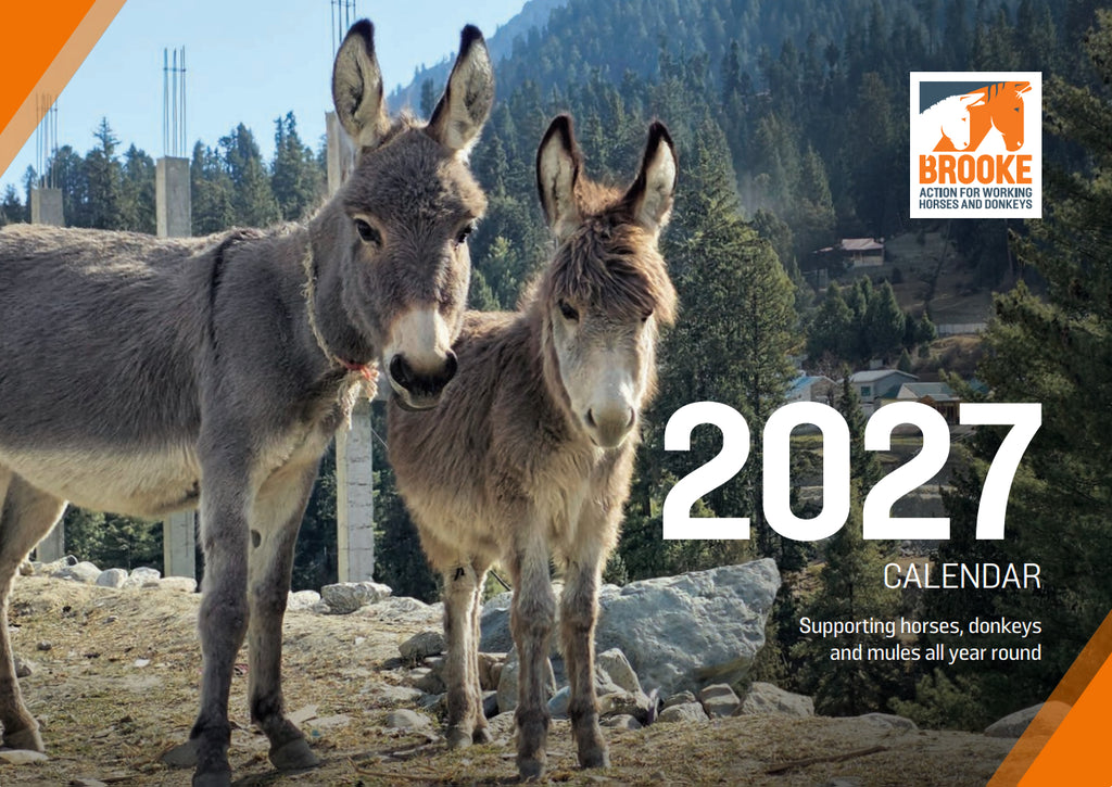 2027 Desktop Calendar - A5