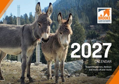 2027 Desktop Calendar - A5