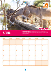 2027 Wall Calendar - A4