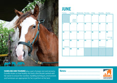 2027 Desktop Calendar - A5