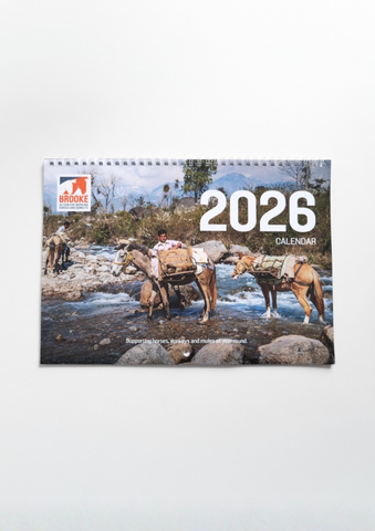 A4 Wall Calendar