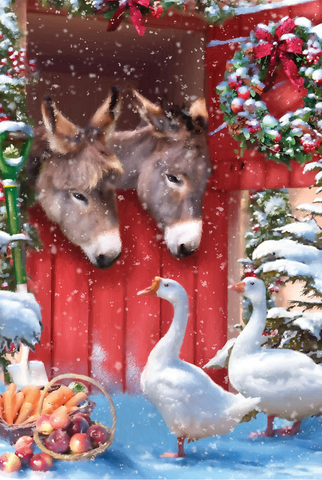 Donkeys in a snowy barn (Pack of 10 Cards)
