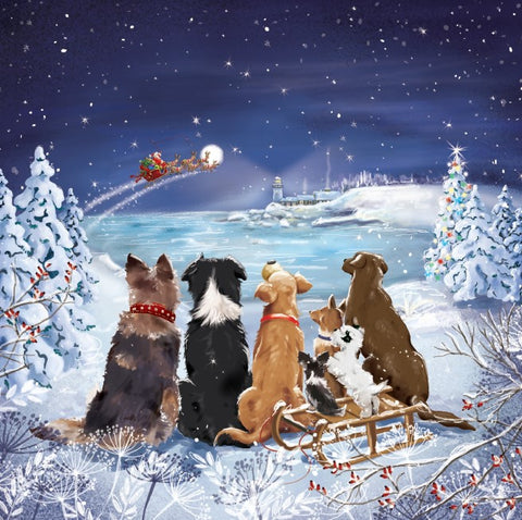 Waiting for Santa (Pack of 10 Cards)