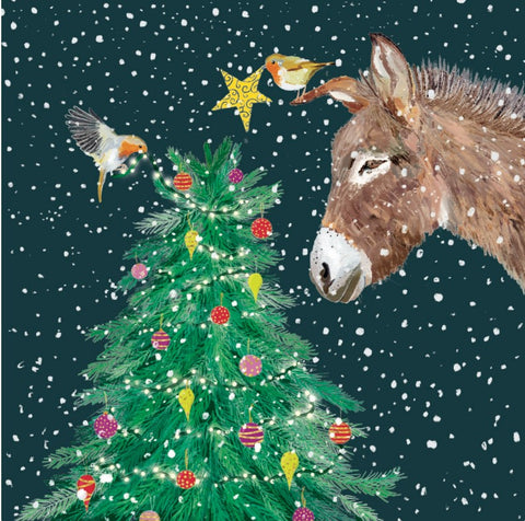 Donkey and Robins (Pack of 10 Cards)