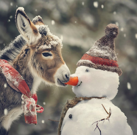Donkey and Snowman (Pack of 10 Cards)