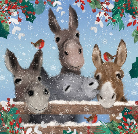 The Four Amigos (Pack of 10 Cards)