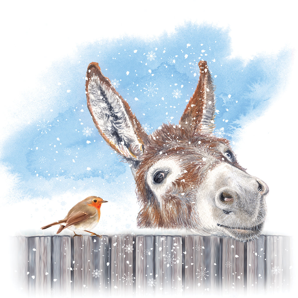Donkey and Robin (Pack of 10 Cards)