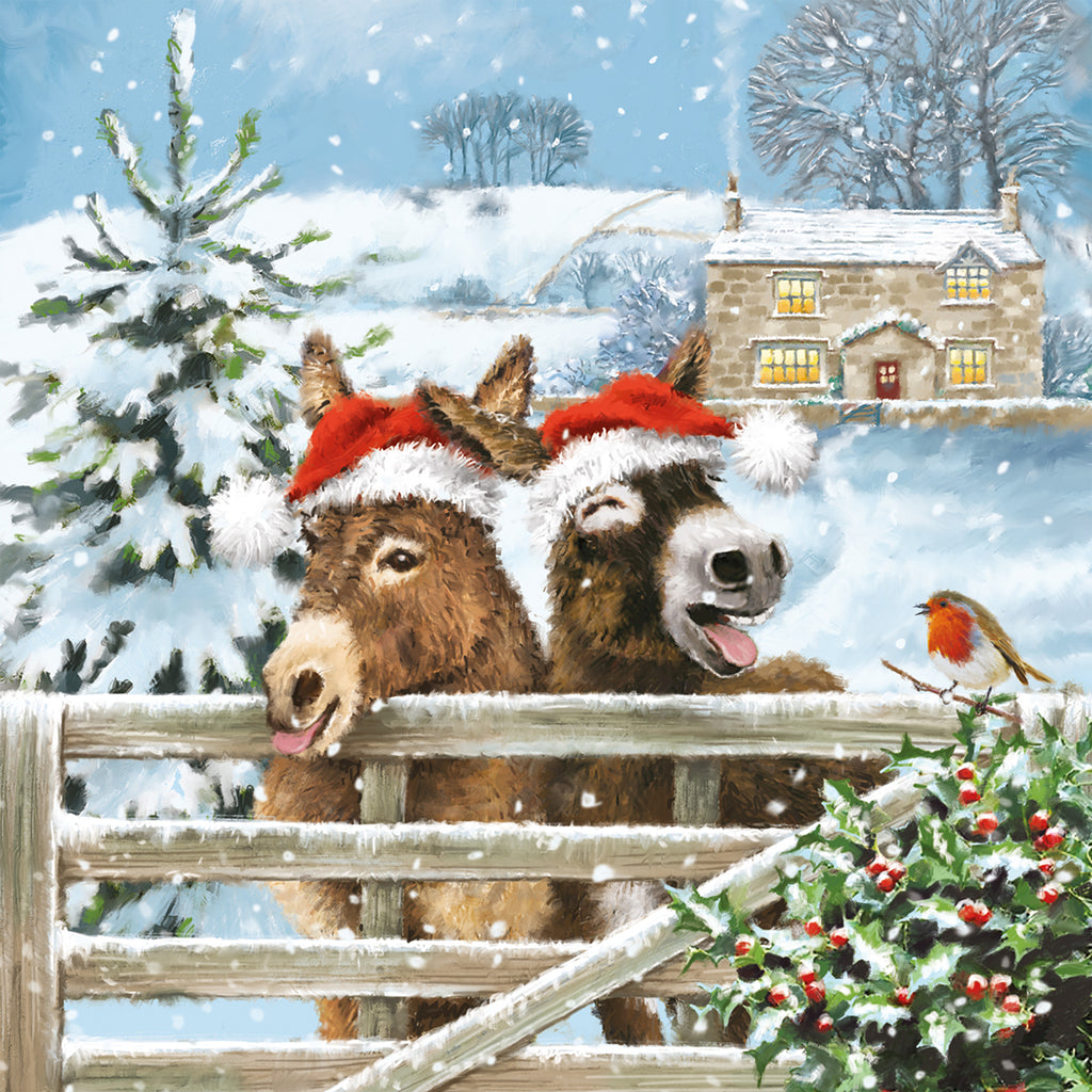 Festive Donkeys (Pack of 10 Cards)