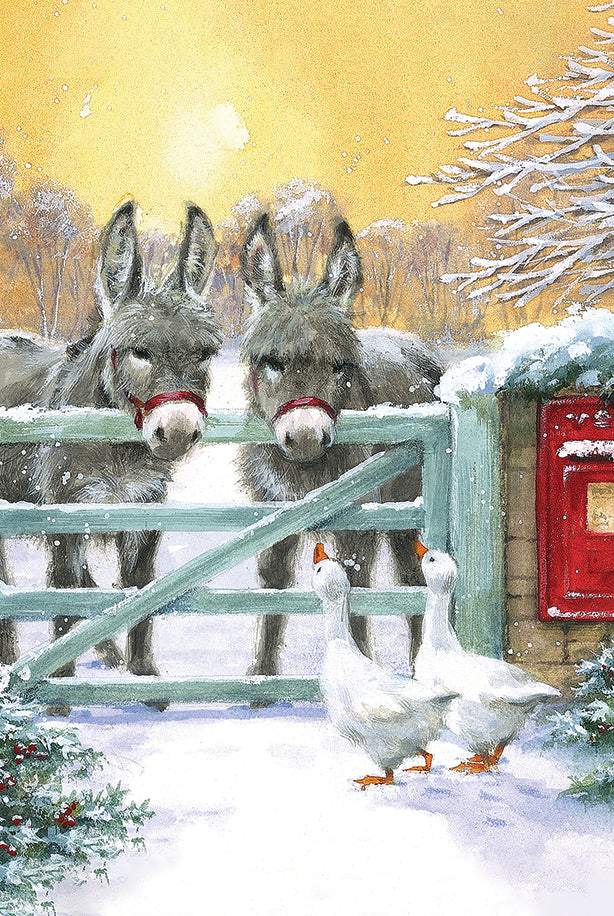 Donkeys by gate