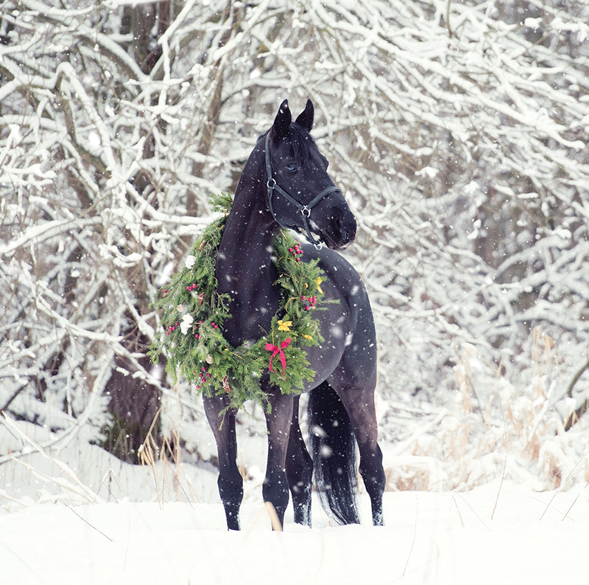 A horse with a wreath
