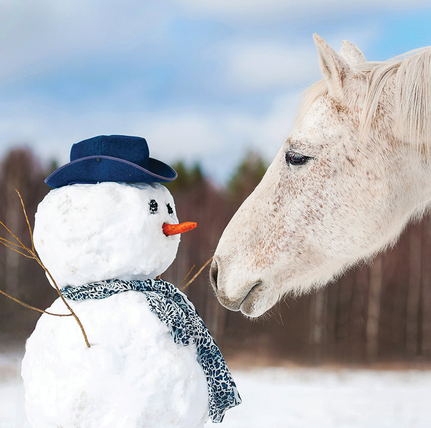 A pony and a snowman