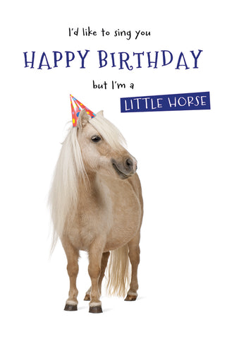 Pony with a Hat - Happy birthday