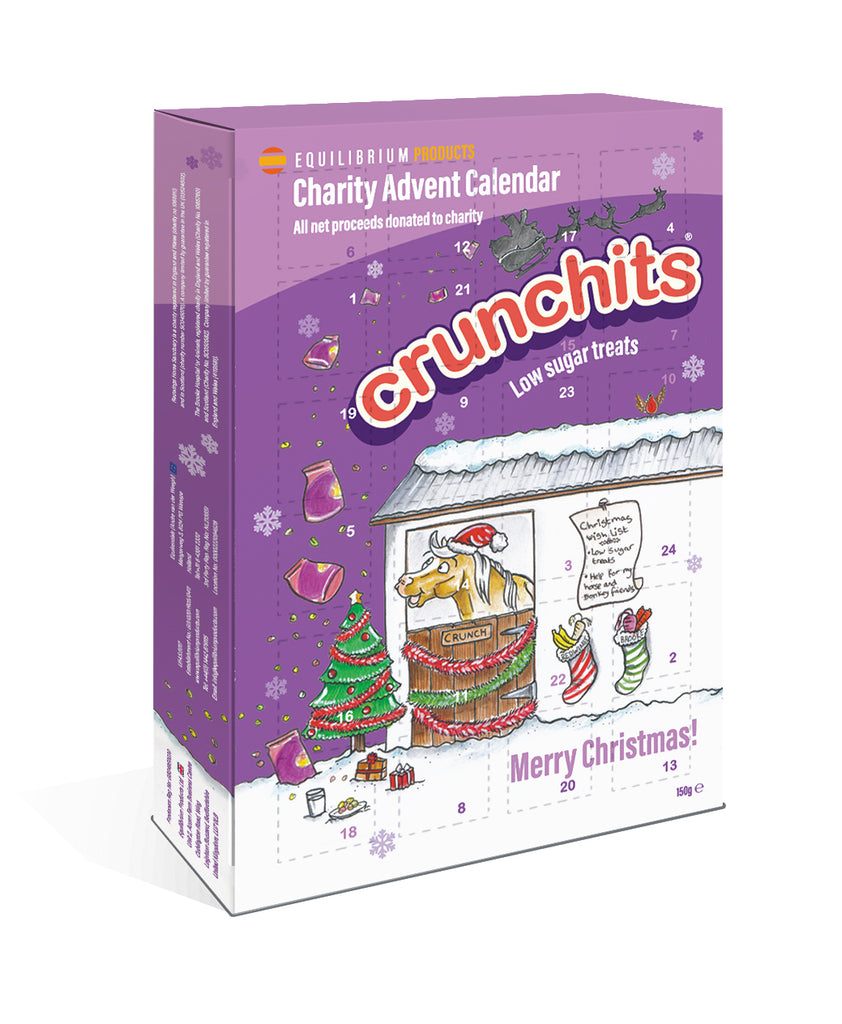 Christmas Advent Calendar from Equilibrium Products