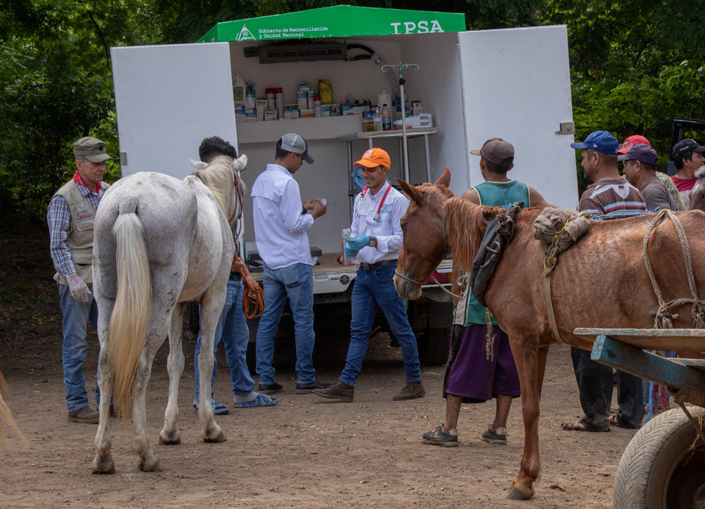 Equipment for a mobile equine clinic