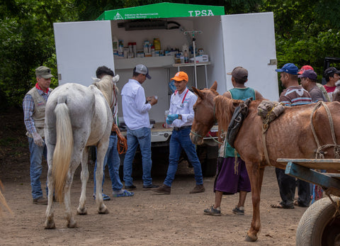 Equipment for a mobile equine clinic