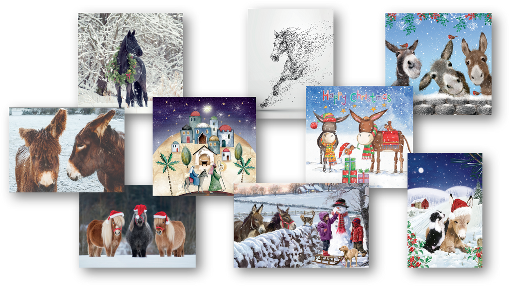 Mystery Pack of Christmas Cards (40 cards in total)