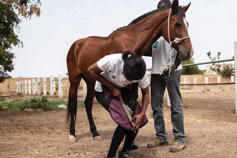 Training for farriers