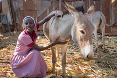 Shelter from donkey thieves