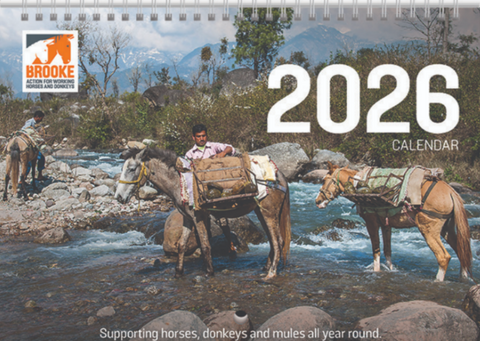 A4 Wall Calendar