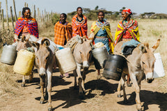 Women's equine welfare group support