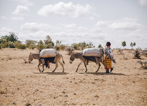 Help two hard-working animals