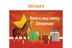 Women's equine welfare group support