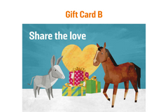Women's equine welfare group support