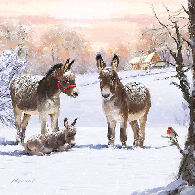 Donkeys with a robin