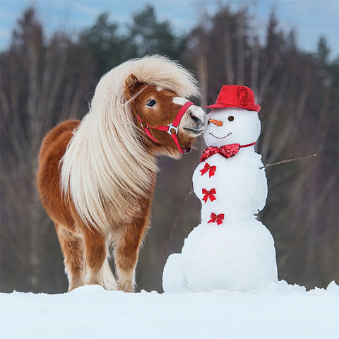 A pony and a snowman
