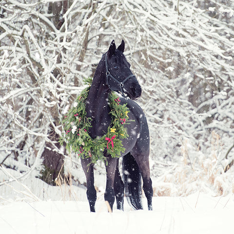 A horse in a wreath