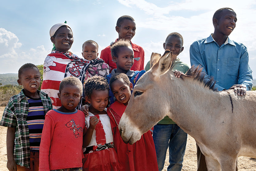 Shelter from donkey thieves