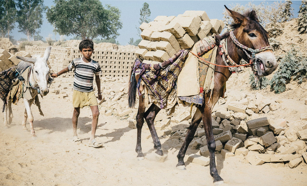 Protection for a brick kiln mule