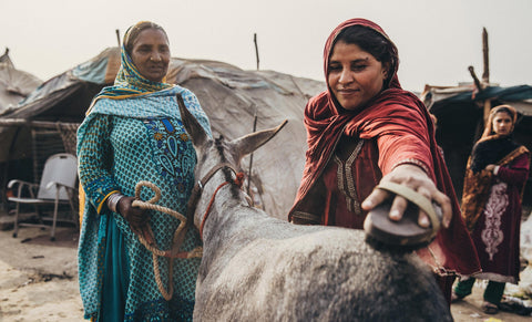 Women's equine welfare group support