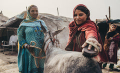 Women's equine welfare group support